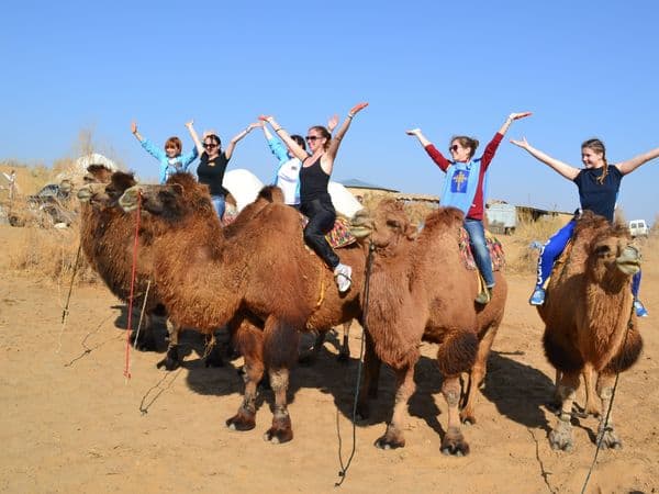 Bactrian camel riding in the Kyzylkum desert