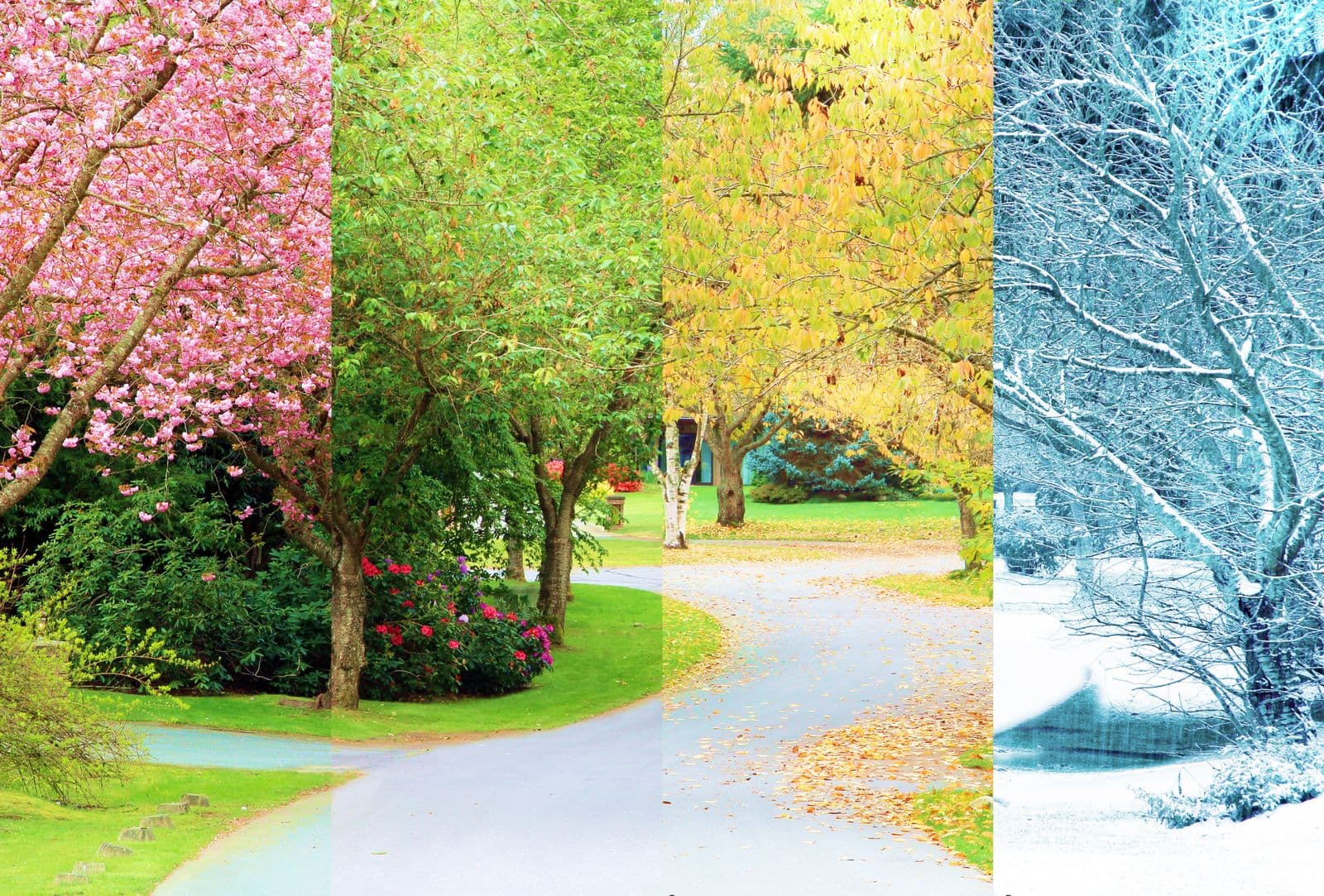 Four seasons of one park alley — when to visit Uzbekistan