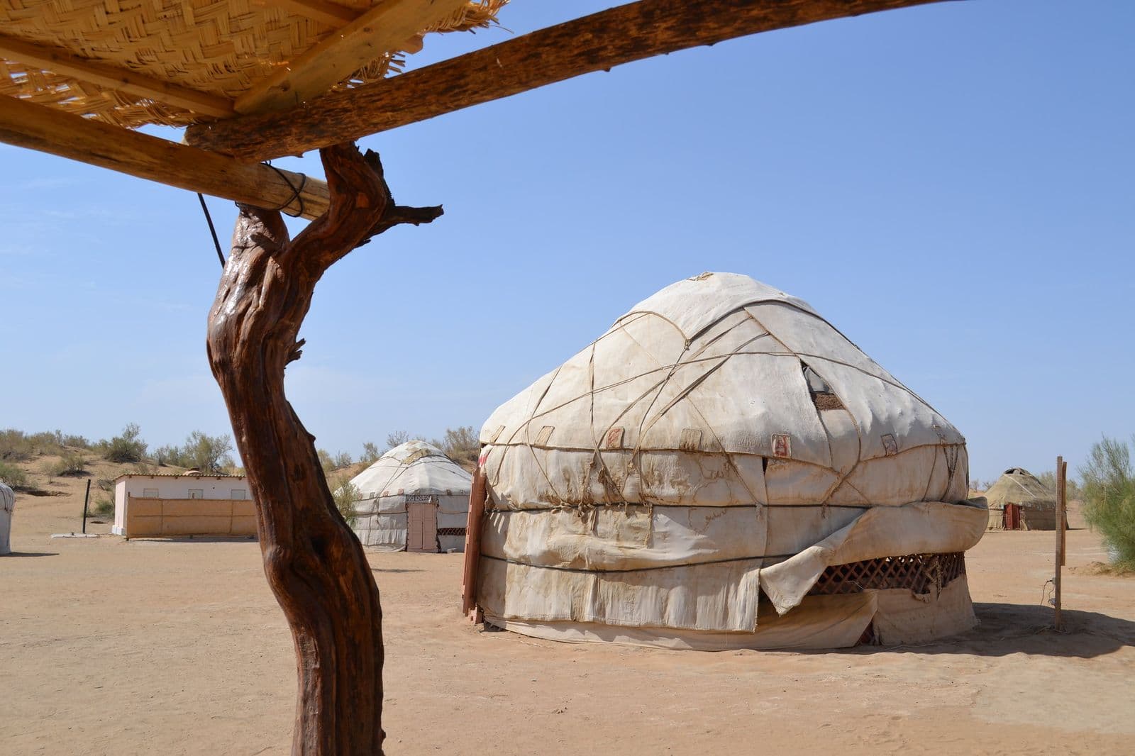 Yurt camp in the Kyzylkum desert
