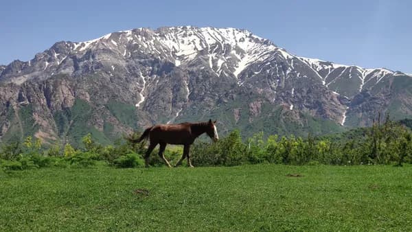 Greater Chimgan peak