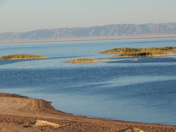 Aydarkul lake shore