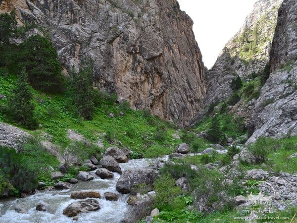 Chortanga canyon stream, Zaamin