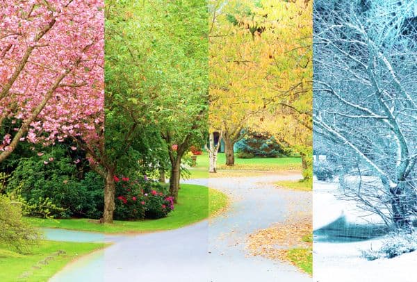 Four seasons of one park alley — when to visit Uzbekistan